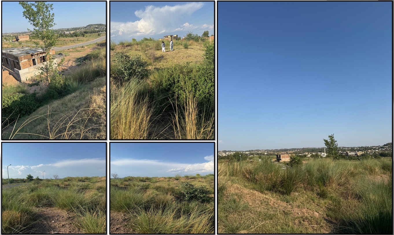 Current photographs of the undeveloped mosque site in Al-Makkah City Housing Scheme, Islamabad